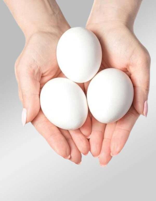 Hens' eggs